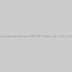 Image of Recombinant Candida Albicans RRP36 Protein (aa 1-281) (strain WO-1)